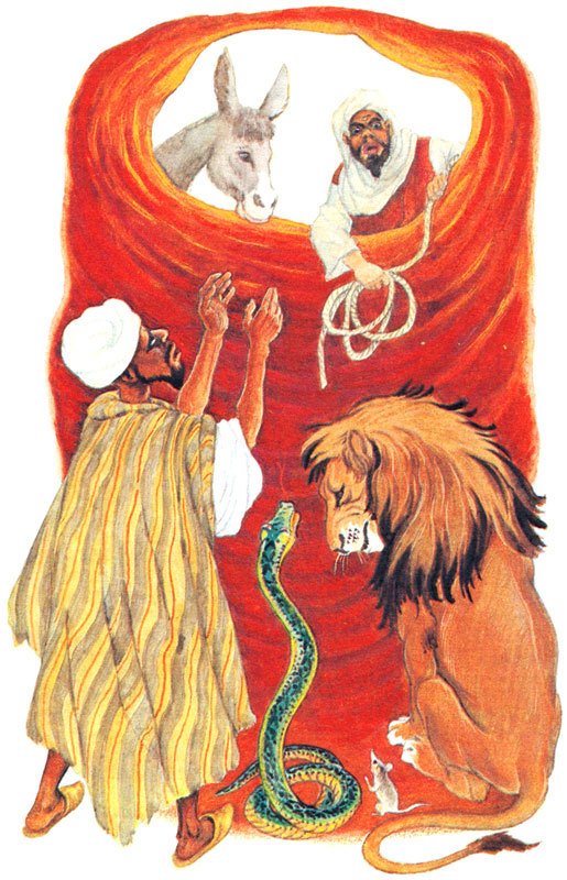 Газель с золотыми копытцами : сказки Северной Африки - i_016.jpg