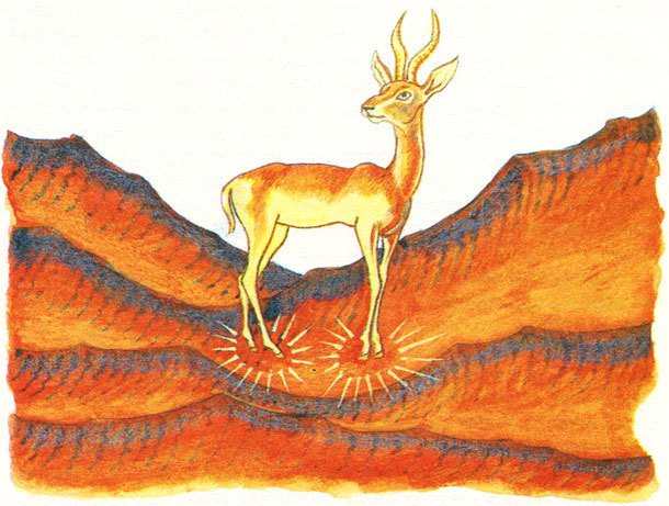 Газель с золотыми копытцами : сказки Северной Африки - i_035.jpg