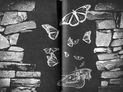 Лексикон інтимних міст. Довільний посібник з геопоетики та космополітики - i_027.png