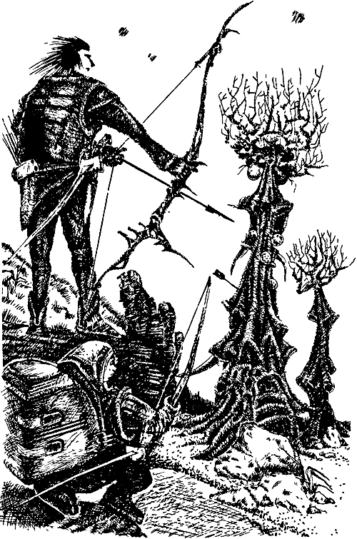 Дорога Славы (сборник) - i_004.png