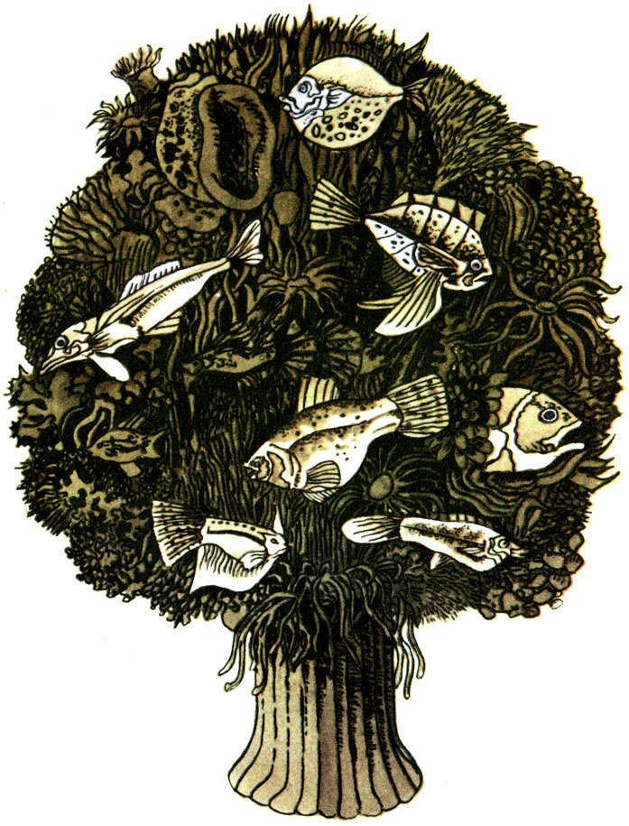 Атака на неизведанное - i_002.jpg