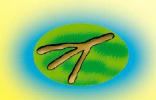 СМС-загадки от Бабы Яги - i_077.jpg