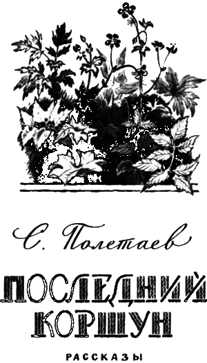 Последний коршун - i_001.png