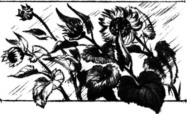 Последний коршун - i_002.png