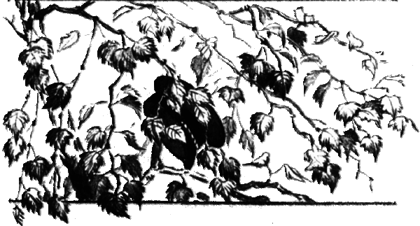 Последний коршун - i_004.png