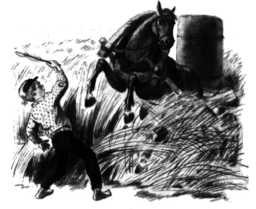 Последний коршун - i_007.png