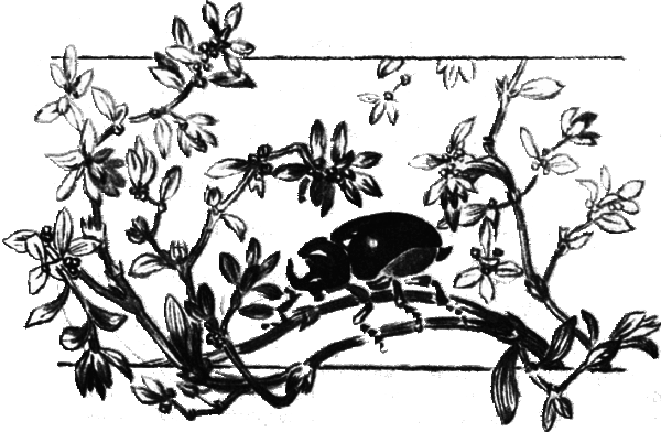 Последний коршун - i_010.png