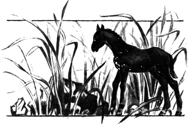 Последний коршун - i_015.png