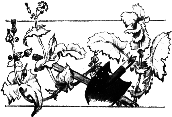 Последний коршун - i_022.png