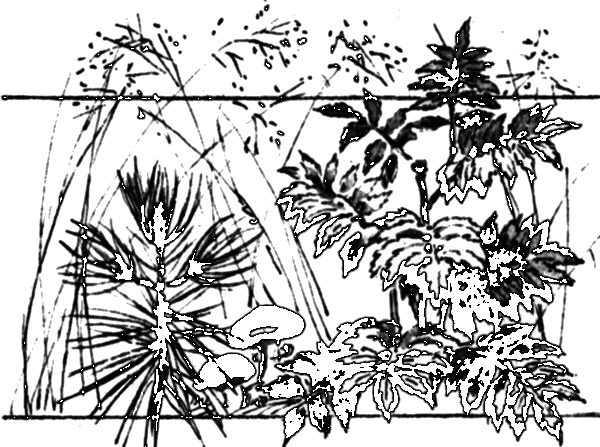 Последний коршун - i_030.png