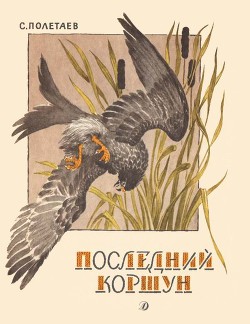 Книга Последний коршун