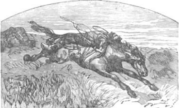 Похитители бриллиантов (др. изд.) - i_004.jpg