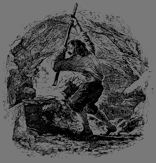 Робинзон Крузо (перевод К. Чуковского) - i_011.png