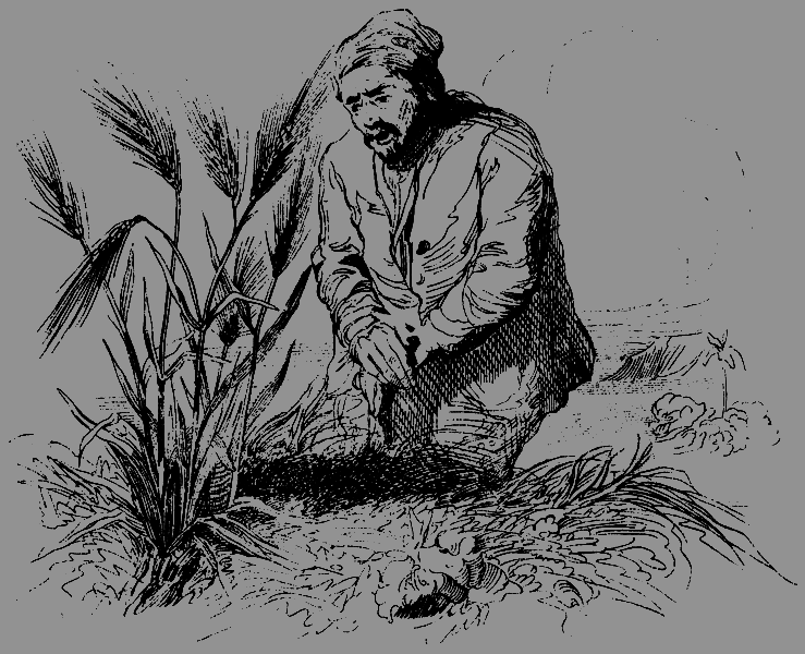 Робинзон Крузо (перевод К. Чуковского) - i_013.png