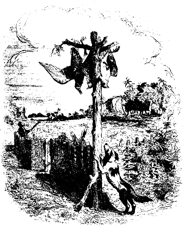 Робинзон Крузо (перевод К. Чуковского) - i_016.png