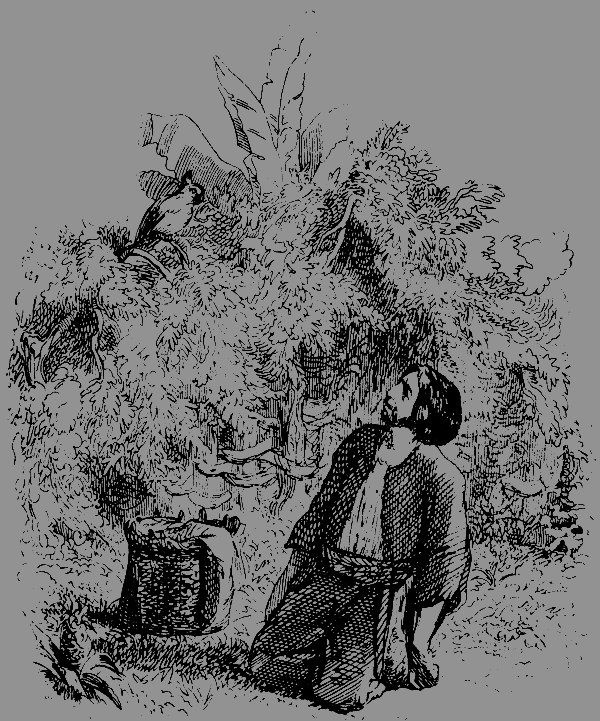 Робинзон Крузо (перевод К. Чуковского) - i_022.png