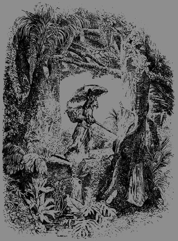 Робинзон Крузо (перевод К. Чуковского) - i_025.png