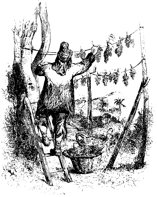 Робинзон Крузо (перевод К. Чуковского) - i_027.png