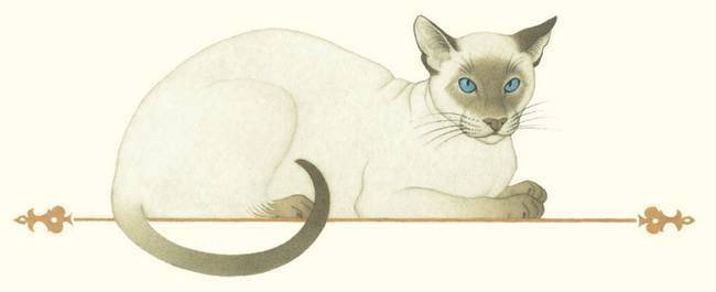 Самые прекрасные сказки тысячи и одной ночи (+16) - i_022.jpg