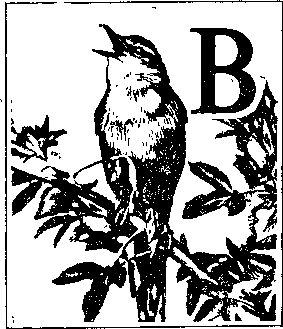 На речных берегах - image034.png