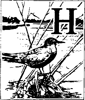 На речных берегах - image050.png