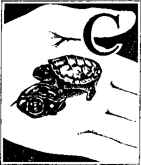 На речных берегах - image088.png