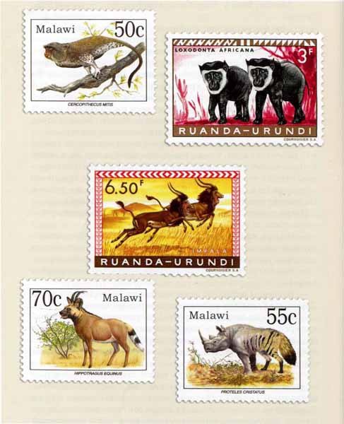 Как стать настоящим львом - img25.jpg