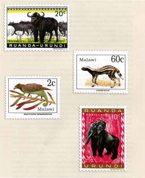 Как стать настоящим львом - img26.jpg