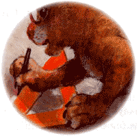 На Деда Мороза не охотятся - img23.png