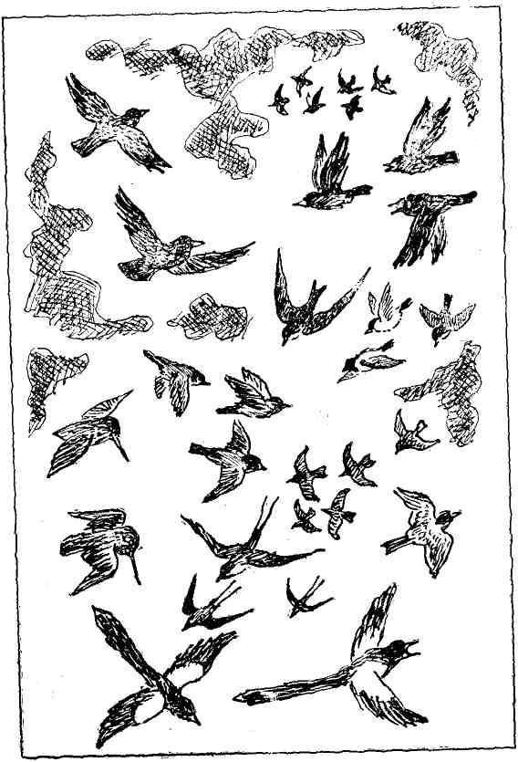 Десять тысяч шагов - img_3.jpeg