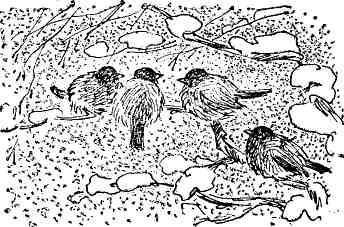 Десять тысяч шагов - img_5.jpeg