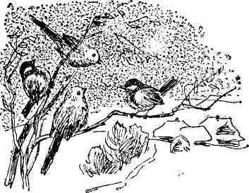 Десять тысяч шагов - img_6.jpeg