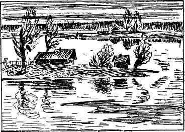 Десять тысяч шагов - img_18.jpeg