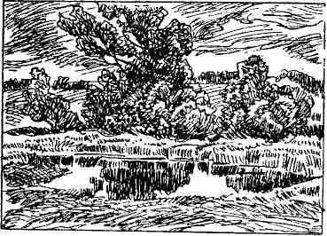 Десять тысяч шагов - img_20.jpeg