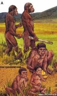 История Древнего мира - pic_2.jpg