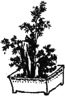 Рассказы Ляо Чжая о необычайном  - i_004.png