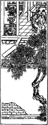 Рассказы Ляо Чжая о необычайном  - i_005.png