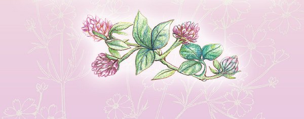 Тайна гранатовых зёрен - i_010.jpg