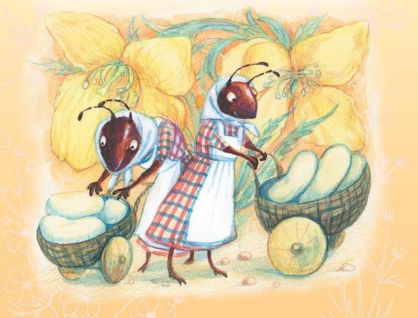 Тайна гранатовых зёрен - i_016.jpg