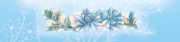 Тайна гранатовых зёрен - i_023.jpg