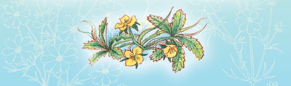 Тайна гранатовых зёрен - i_050.jpg