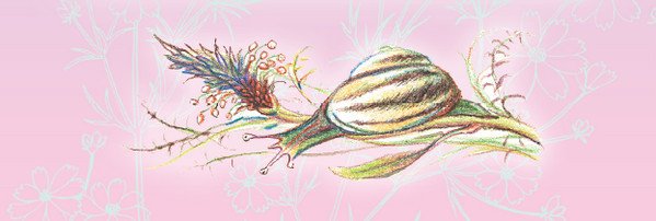 Тайна гранатовых зёрен - i_053.jpg