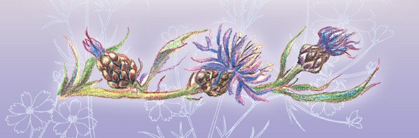 Тайна гранатовых зёрен - i_057.jpg