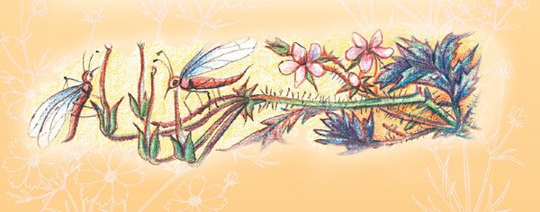 Тайна гранатовых зёрен - i_060.jpg