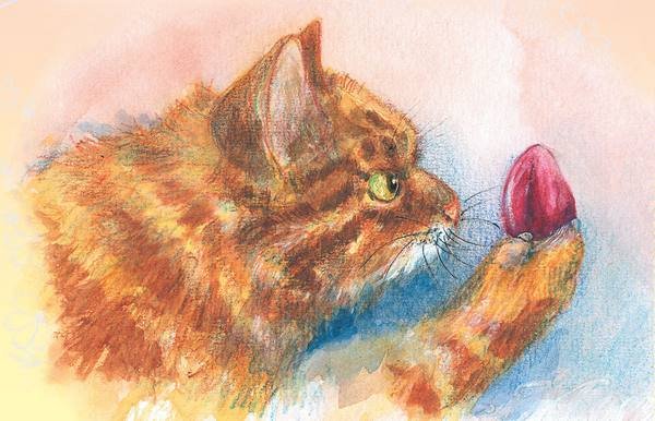 Тайна гранатовых зёрен - i_066.jpg