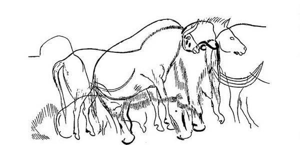 Вопросительная история - i_018.jpg