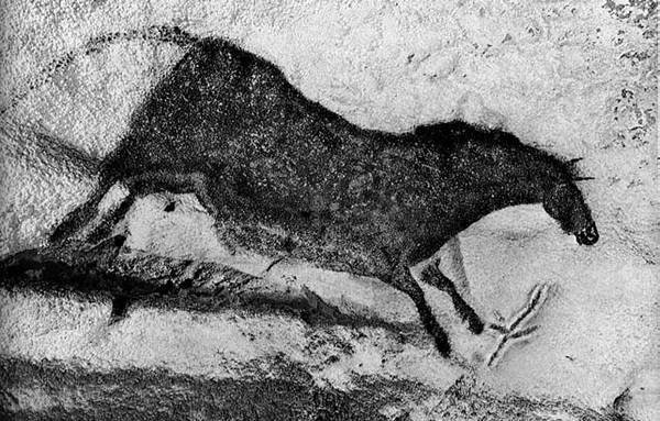 Вопросительная история - i_021.jpg