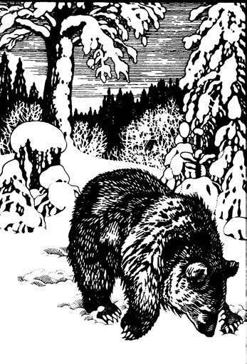 Вопросительная история - i_024.jpg