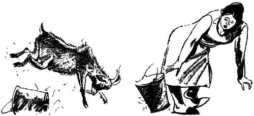 Со щитом и на щите - pic2.png