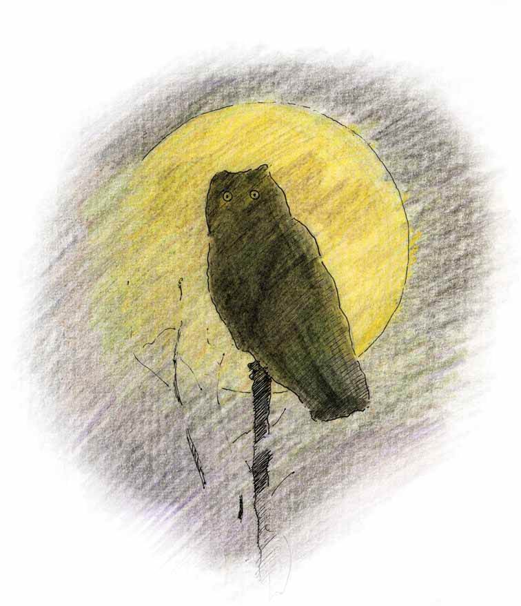 Голос ночи - i_004.jpg